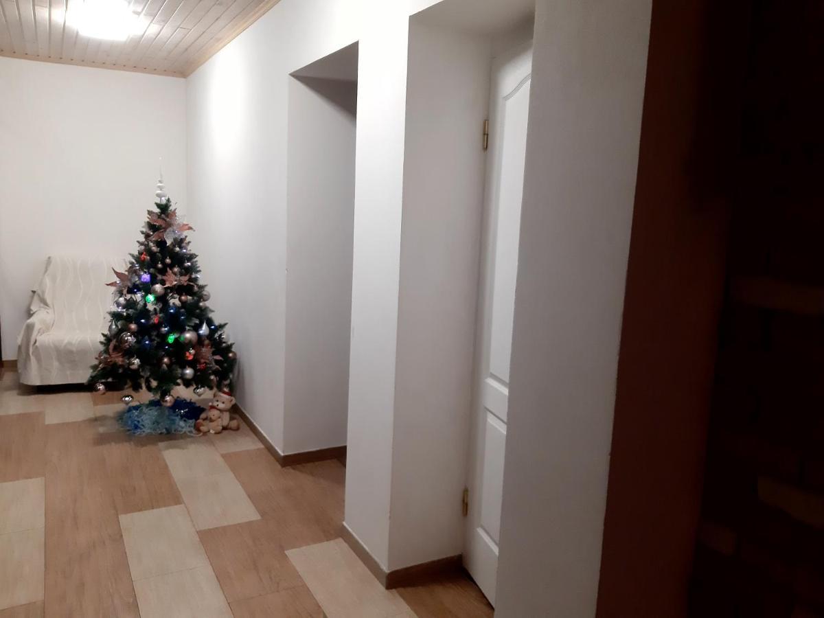 Дом в лесу на берегу Днепра для отдыха, аппартоменты Будище Екстер'єр фото