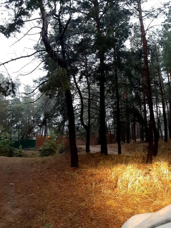 Дом в лесу на берегу Днепра для отдыха, аппартоменты Будище Екстер'єр фото