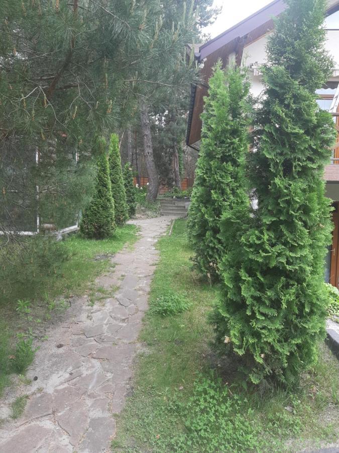 Дом в лесу на берегу Днепра для отдыха, аппартоменты Будище Екстер'єр фото