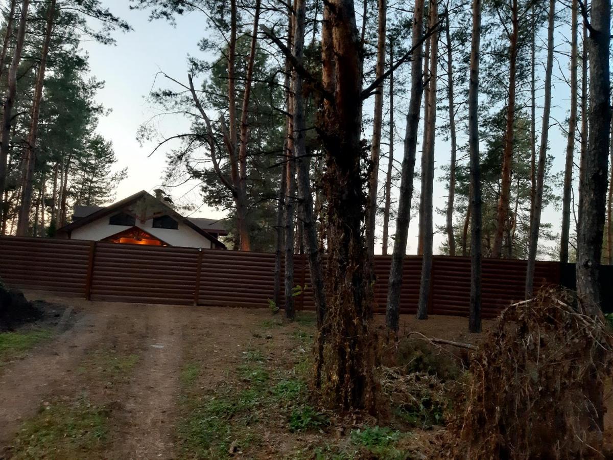 Дом в лесу на берегу Днепра для отдыха, аппартоменты Будище Екстер'єр фото