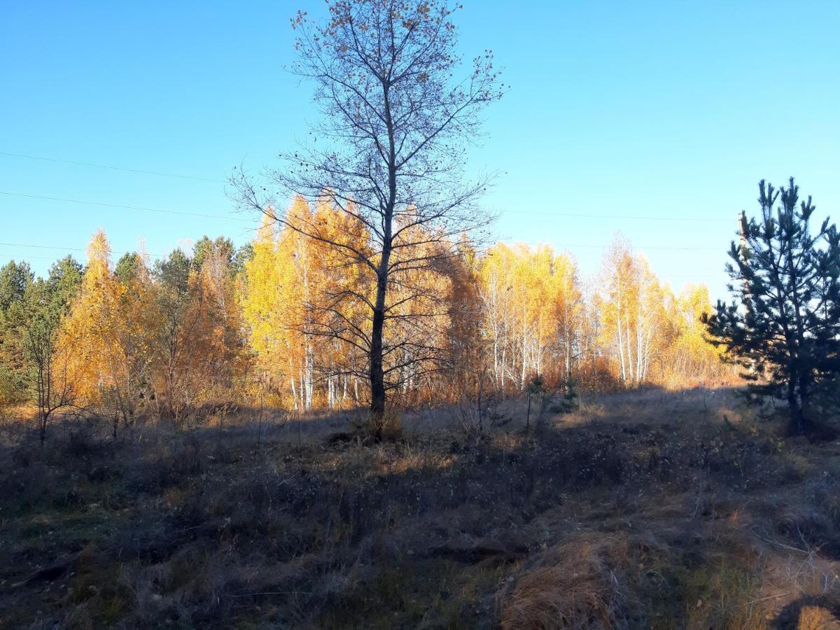 Дом в лесу на берегу Днепра для отдыха, аппартоменты Будище Екстер'єр фото