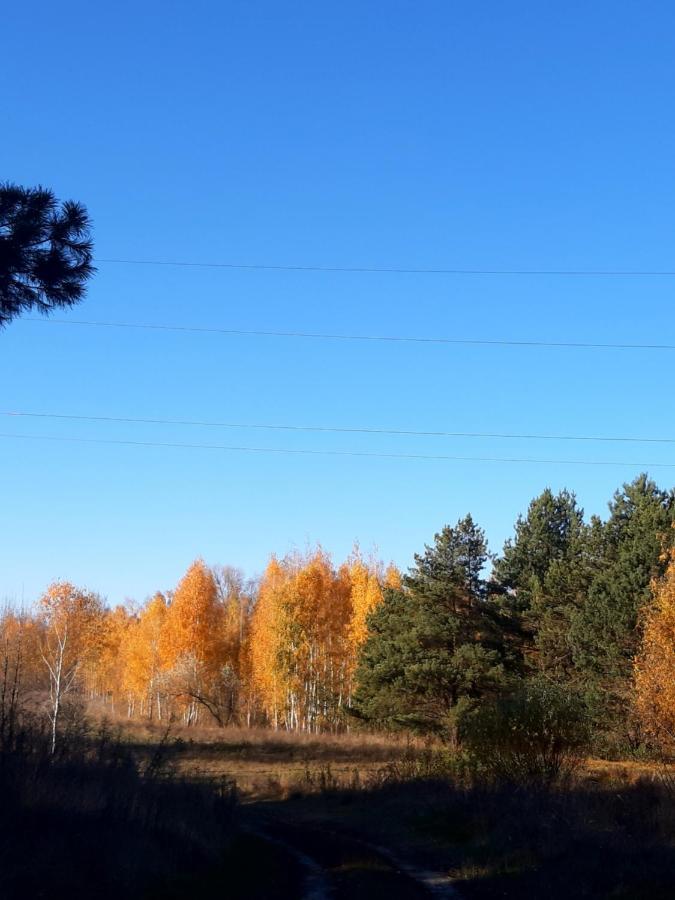 Дом в лесу на берегу Днепра для отдыха, аппартоменты Будище Екстер'єр фото