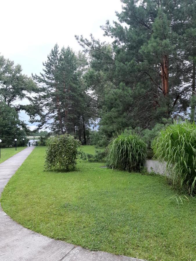 Дом в лесу на берегу Днепра для отдыха, аппартоменты Будище Екстер'єр фото