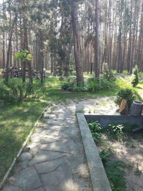 Дом в лесу на берегу Днепра для отдыха, аппартоменты Будище Екстер'єр фото
