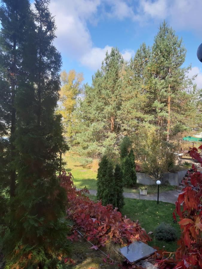 Дом в лесу на берегу Днепра для отдыха, аппартоменты Будище Екстер'єр фото